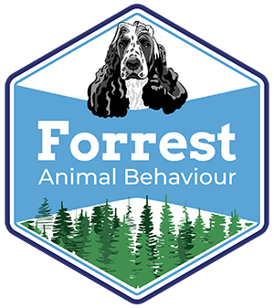 Forrest Animal Behaviour